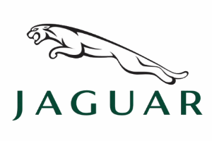 Jaguar obaly autoklíčů